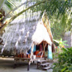 Meet your Posher, Anne